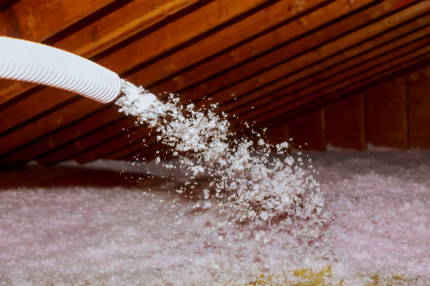 Best Affordable Insulation Services  in Waikoloa Village, HI